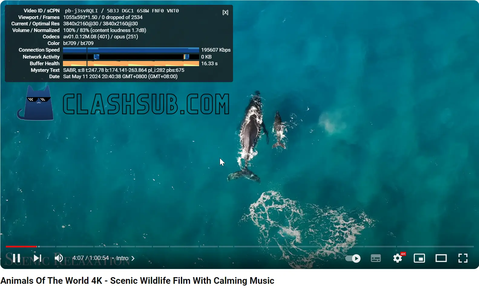 蓝帆云机场 YouTube 4K 播放测试 蓝帆云机场 YouTube 4K 播放测试