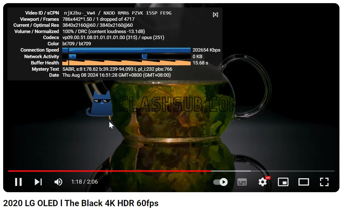 Bridge the Wise 机场 YouTube 4K 播放测试 ClashSub Bridge the Wise 机场 YouTube 4K 播放测试 ClashSub
