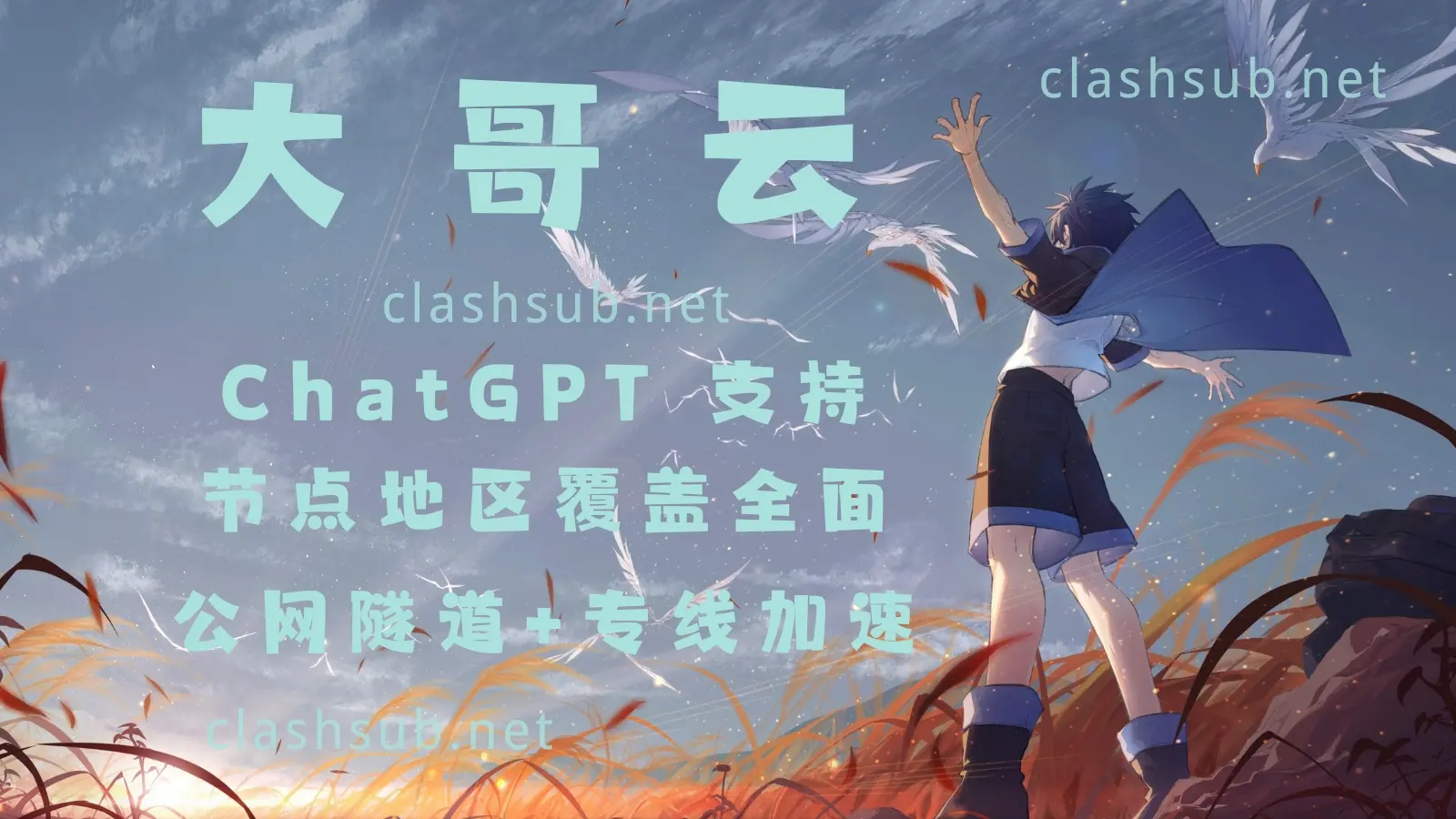 dageyun 大哥云机场