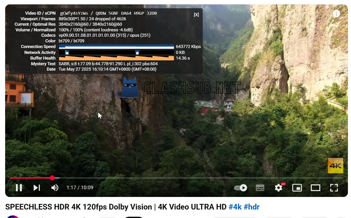 Nyxen Bar 酒馆加速 Youtube 4K 播放测试