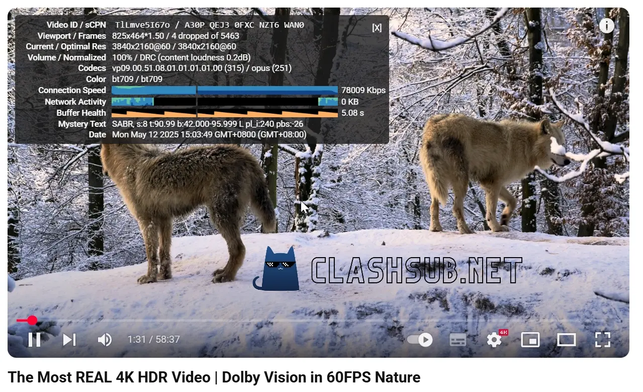 老猫云机场 YouTube 4K 播放测试 老猫云机场 YouTube 4K 播放测试