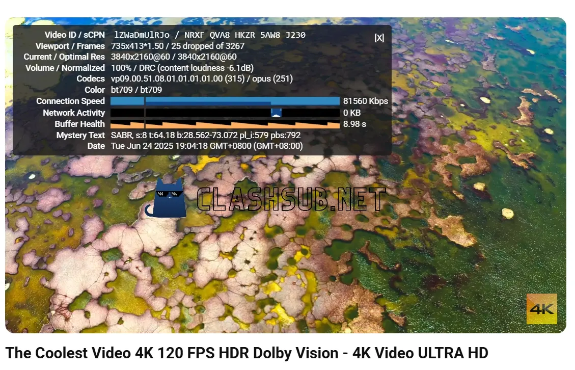 小蜜蜂机场 YouTube 4K 播放测试